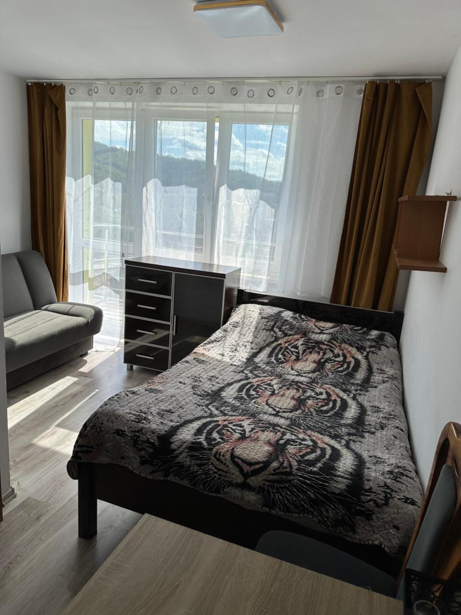 Pokoje i apartamenty Aga Centrum Visla Exteriér fotografie